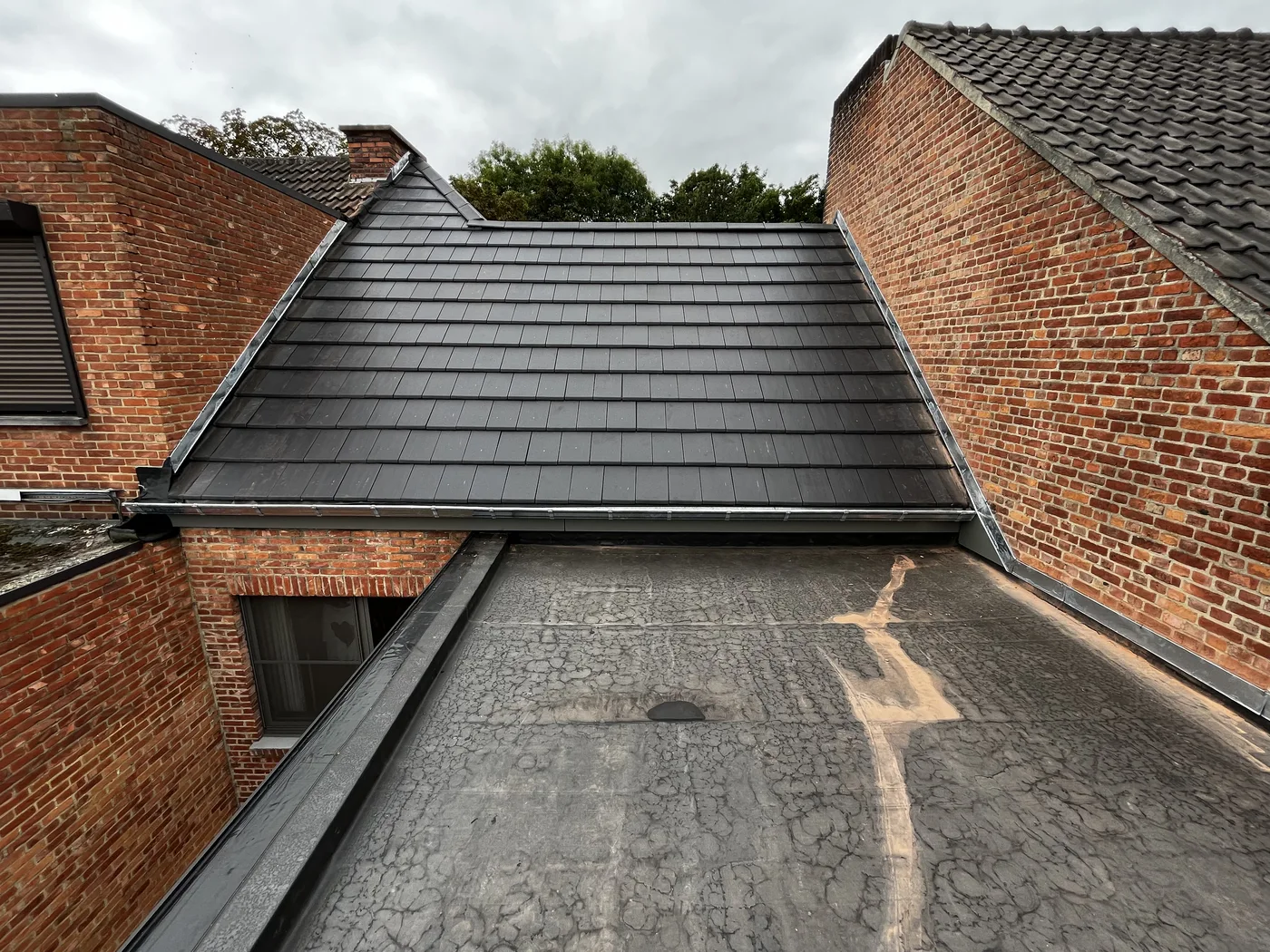 Vlakke dakpannen in Hasselt rijwoning