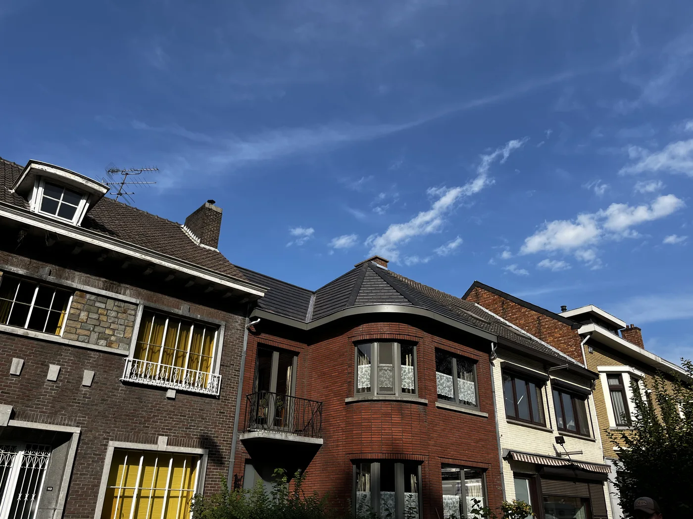 Dakwerk Hasselt met kilgoot en noordbomen