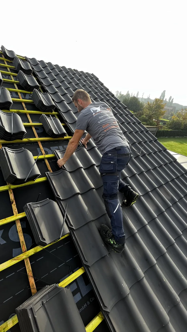 plaatsing van ovh blauw gesmoorde pannen